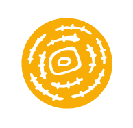 Practical and in-kind support